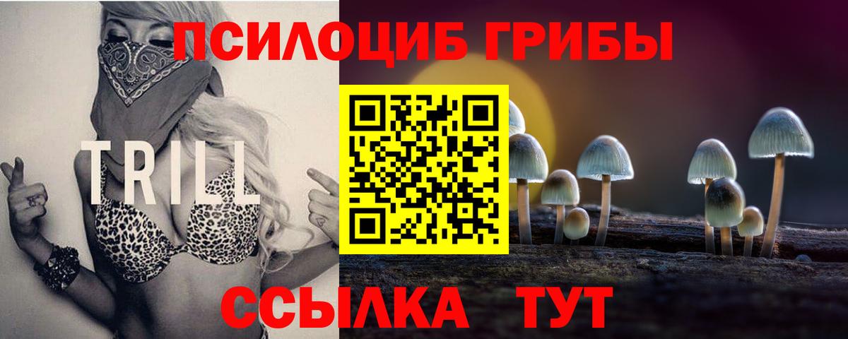 Псилоцибиновые грибы Psilocybe Фролово