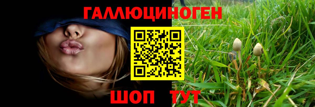 сколько стоит  Вход с VPN  Фролово  Псилоцибиновые грибы Cubensis 